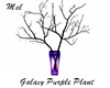 Galaxy Purple Plant