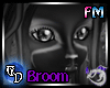 Witching Hour Broom V2