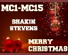 Merry Christmas Shakin S