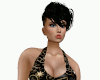 Zodiac Full Dress