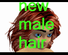 ALL NEW MALE HAIR
