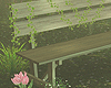 Bench_Forest