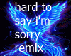 hardtosayimsorry/remix