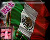 bIT Mexican Flags Stand