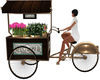 Park Flower Vendor Bike