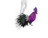 Rooster purple