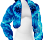 BURN BLUE BOMBER