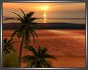 SL Sunrise Beach