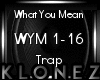 Trap | What You Mean