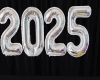 2025 Numbers