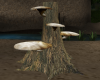 1613   Mushroom Stump