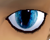Deep Blue Cat Eyes