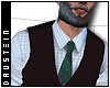d| Wool Vest/ Dots Tie