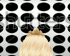 [FF]Ang Blonde