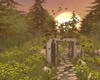 Autumn Forest Photo