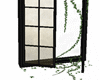 Ivy Door