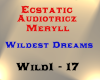 Ecstatic - Wildest Dream