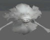 Animated Ghost Witch