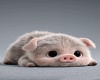 pig ffo