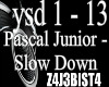 Pascal Junior- Slow Down