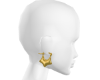 0123 Gold Star Earrings