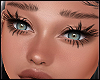 Lux Lashes