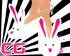 *CG* Bunny Slippers