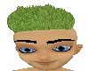 Green top hair