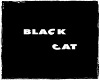 *cakico*black cat