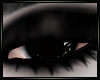Izzy Demon Eyes |F
