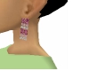 Multi Pink Earring set