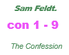 Sam Feldt/The Confession
