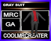 GRAY SUIT