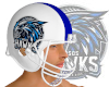 WSOS FB Helmet