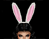 Bunny Ears