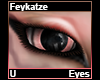 Feykatze Eyes