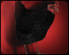 Chicken Animated Black