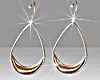 TSF Gold Earrings