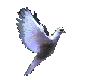 Flying peace dove*anim*