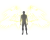 !V Light Animated Wings