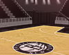 K+ Basketball Arena
