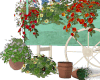 Flowers Cart