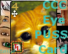 eye puss card