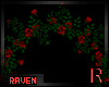 𝓡𓄿 Red Roses Arch