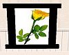 yellow rose black frame