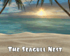 -IC- The Seagull Nest