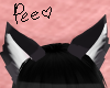 Tigg Mino ♥ * | PEE