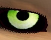 eyez~green owl