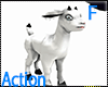 Action. Pet White Goat F