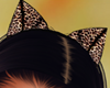 Leopard Cat Ears